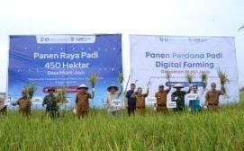 Demplot Digital Farming Rohil Panen Raya Perdana