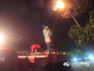 Gerak Cepat Evakuasi Sarang Tawon Oleh Tim Satgas Damkar dan Penyelamatan