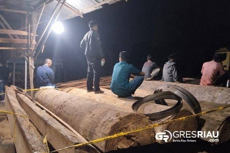 Pengembangan Ungkap Illegal Loging Di Kampar Kiri, Pemilik Sawmill Di Teratak Buluh Dalam Pengejaran Kepolisian 