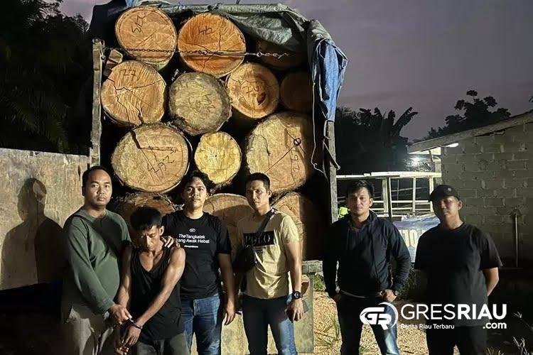 Angkutan Kayu Tanpa SKSHH Dari Desa Sei Sarik, Polda Riau Tetapkan 1 Tersangka dan 4 DPO