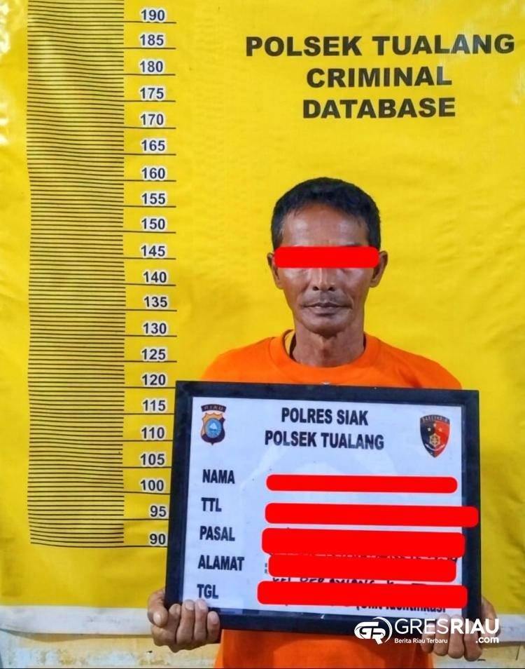 Kedapatan Cabuli Gadis Dibawah Umur,  Pria Paruh Baya di Tangkap Polisi