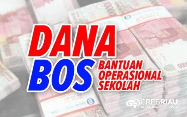 Kepala UPT SD Ini Jawab Singkat Item BOS, Diduga Ada Kejanggalan Realisasi Dana 1198 Peserta Didik : Audit !