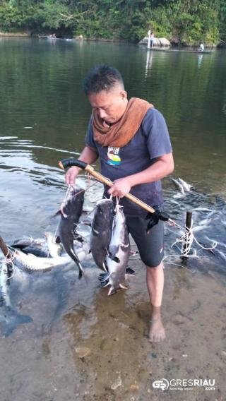 Tradisi Goro Mancokau Ikan Lubuk Larangan Desa Tanjung Belit, Efri : Budaya Turun Temurun