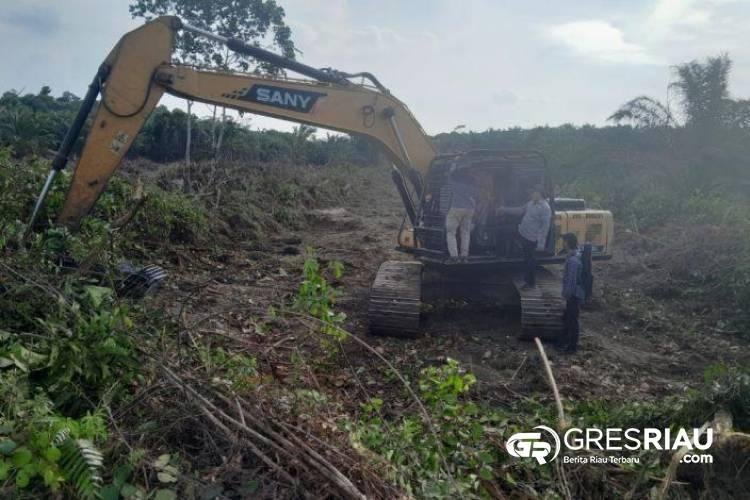 Perambah Hutan Lindung Bukit Rimbang Baling Kampar Kiri ?, Polda Riau : Tidak Akan Mentolerir, Efek Jera Bagi Pelaku !