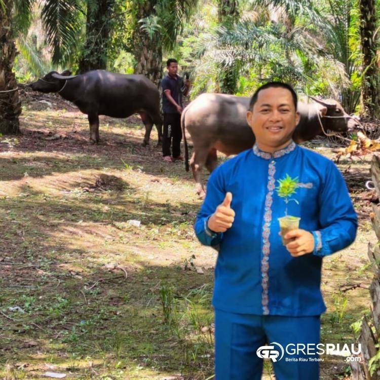 Heboh Tentang Ketahanan Pangan 2023, Kades Sungai Paku : Itu 9 Ekor dan Dibagi Ke Seluruh Warganya !