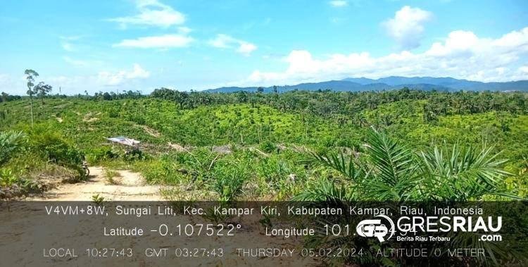 Hutan Margasatwa Kuntu Disulap Jadi Kebun Kelapa Sawit, Aliansi Gempar Riau : Jelas Sanksinya !,. KPH Kampar Kiri : Kewenangan KLHK di BKSDA !