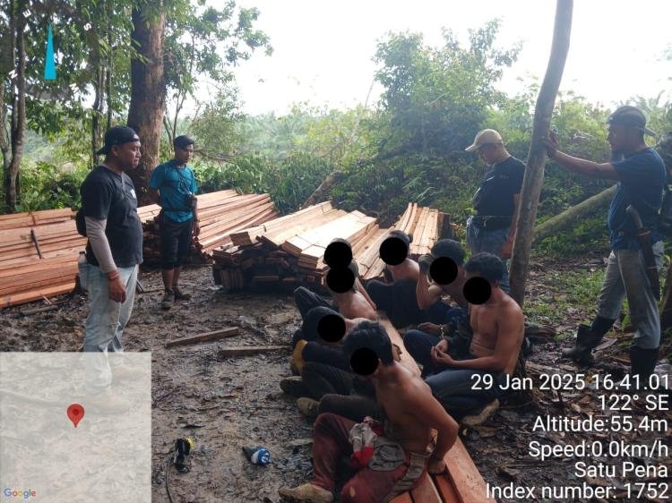 Polsek Singingi Hilir Ungkap Kasus Illegal Logging Di Hutan Suaka Margasatwa (SM) Rimbang Baling