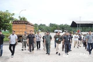 Jejak Sawit Ilegal,  Sidak Bupati Kuansing Ungkap Praktik di PT GSL