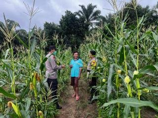 Polsek Pangean Dukung Program Ketahanan Pangan ASTA CITA Presiden RI di Desa Sungai Langsat