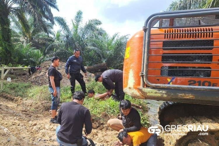 Ketahuan Garap Kawasan Hutan, Operator dan Helper Alat Berat Ditangkap Polisi !