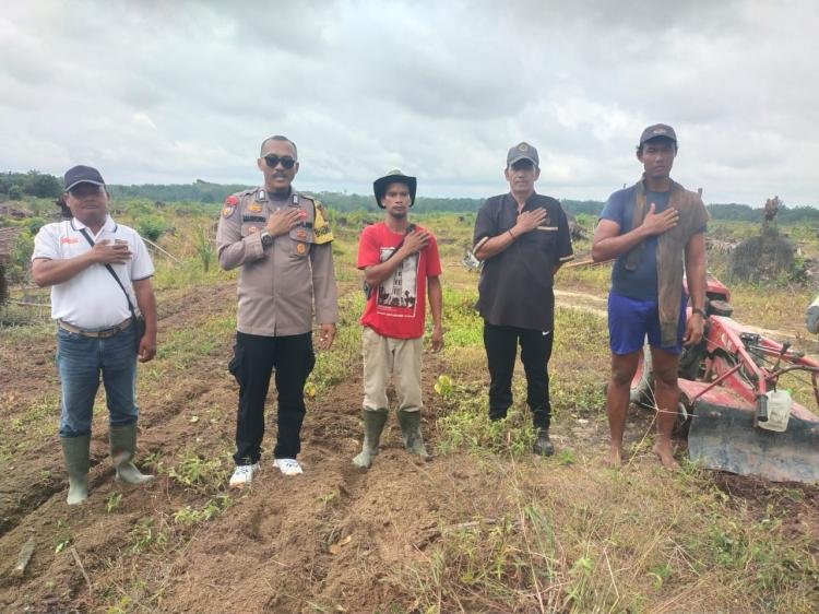 Polsek Pangean Tinjau Lokasi Penanaman Jagung Pipil Di PT. Gatipura Mulya Dukung Program Ketahanan Pangan