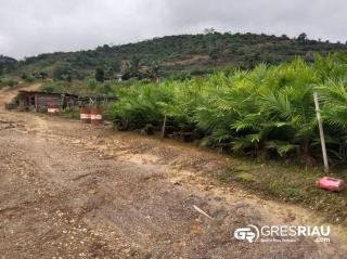 Ratusan Hektar Hutan di Kampar Riau Dirusak, Dugaan Perambahan Tanpa Izin