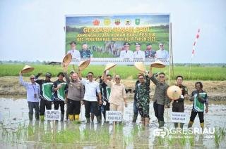 Wabup Rohil Tinjau Kilang Padi di Rokan Baru, Dorong Revitalisasi dan Penguatan Pertanian Lokal