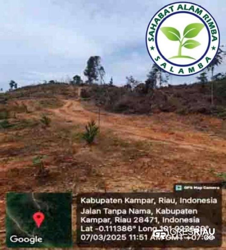 Skandal Kerusakan Lingkungan di Kampar Kiri: Hutan Beralih Fungsi Jadi Kebun Sawit !