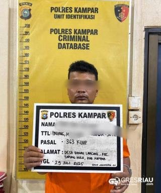 Keren! Satreskrim Polres Kampar Tangkap Pelaku Pencurian Mobil Pick Up Antar Kabupaten