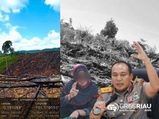 Pak Kapolda !! Kampung Pematang Panjang dalam Sorotan: Dugaan Jual Beli Lahan Ilegal di Suaka Margasatwa Rimbang Baling