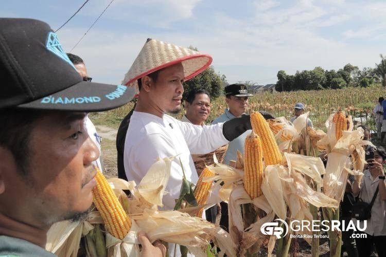 100 Hari yang Penuh Aksi: Pemko Pekanbaru Hadirkan Inovasi dan Perubahan Nyata