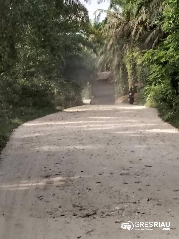 Pemilik Kebun Sawit di Desa Kuntu Darussalam di Tuding Tak Peduli Lingkungan: Debu Jalan Polusi!!!