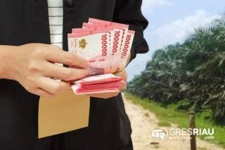 Dana Kompensasi PT.PSPI ke Masyarakat Adat Padang Sawah Menguap, Datuk Sotiah Klarifikasi: Tanya ke Planning PT.PSPI!