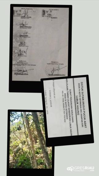 Skandal Kenegerian Lubuk Agung: Tanah Ulayat Dijual, Masyarakat Dijual?