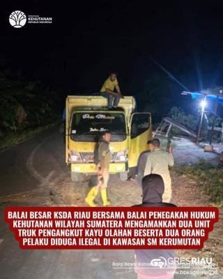 Balai BKSDA Riau Gagalkan Aktivitas Pemuatan Kayu Ilegal di Suaka Margasatwa Kerumutan