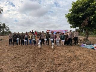 Polsek Cerenti Pimpin Penanaman Jagung Pipil di Desa Sikakak, Dukung Ketahanan Pangan dan Asta Cita Presiden