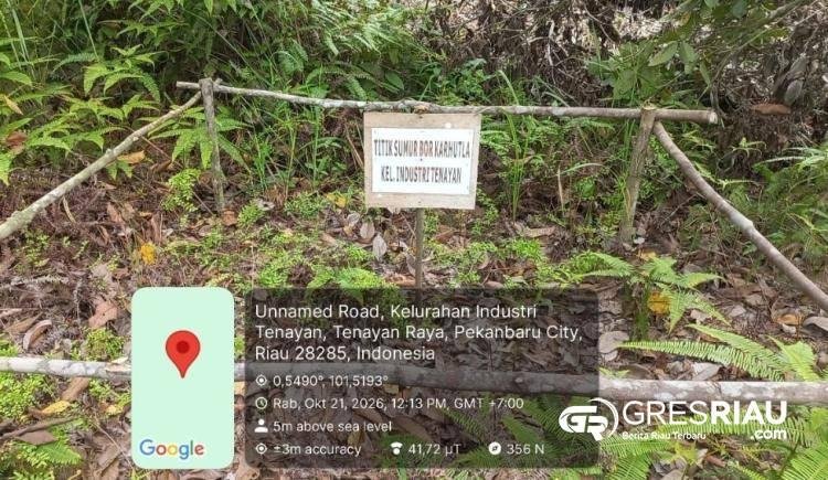 OTT KPK Kasus Dana Bencana, Bidnen Nainggolan Soroti Penanganan Karhutla Pekanbaru