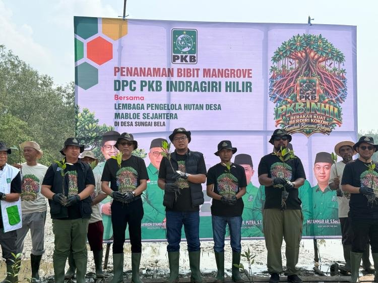 Mafirion: Mangrove Inhil Harus Dijaga