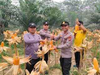 Polsek Benai Dukung Swasembada Pangan di Geringging Baru