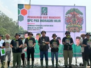 Mafirion: Mangrove Inhil Harus Dijaga